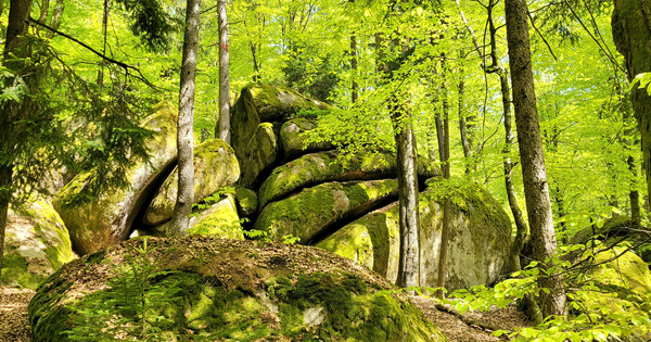 Schamanische Einzelbegleitung